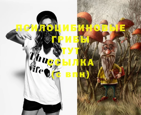 дмт Балахна